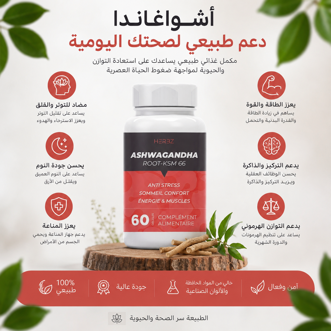 كبسولات اشواغاندا (60 كبسولة) ASHWAGANDHA