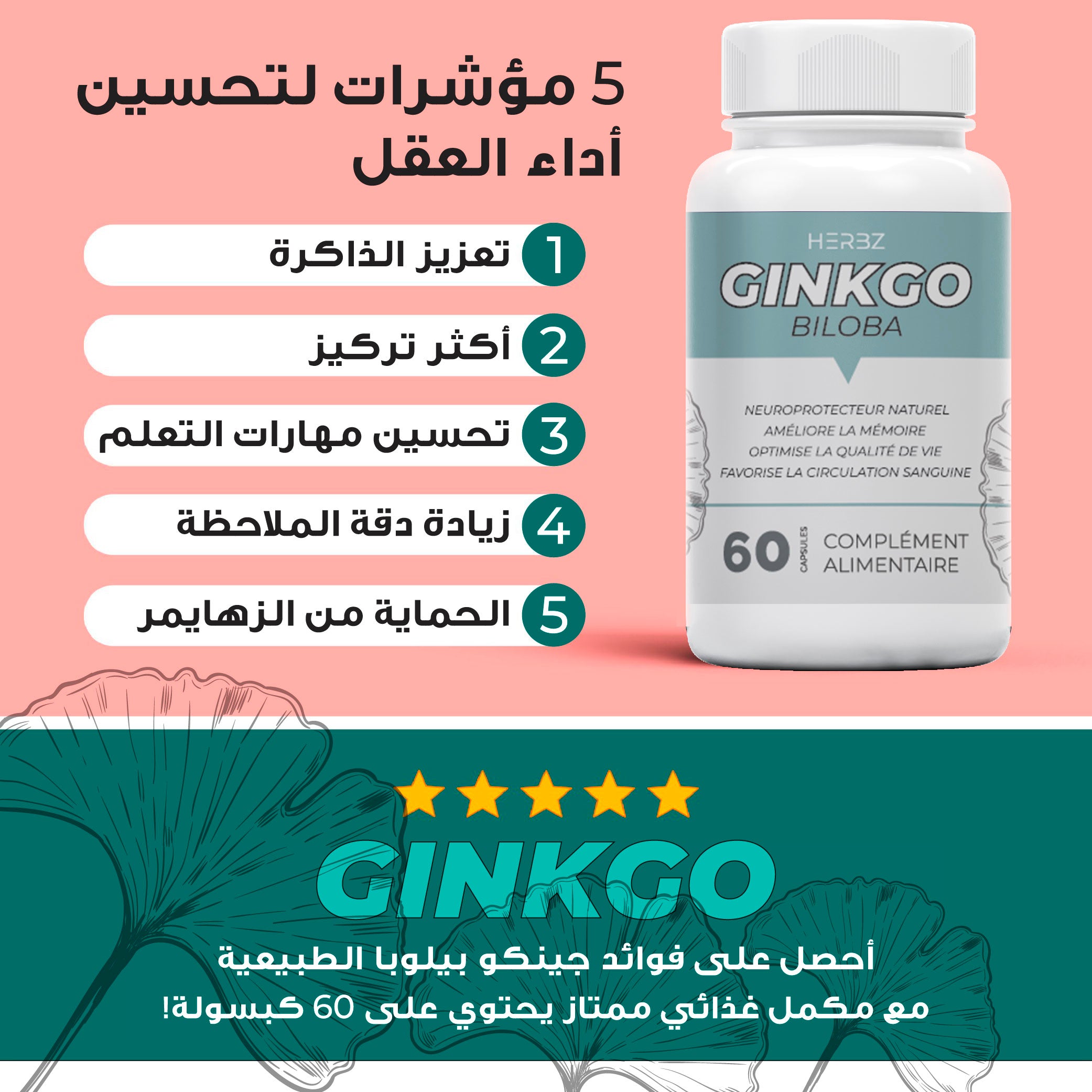 GINKGO BILOBA تحسين وظائف الدماغ وتعزيز الذاكرة